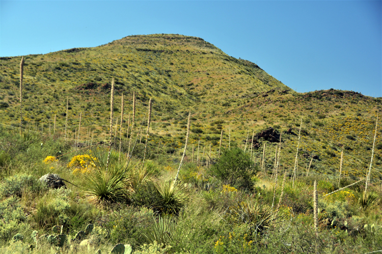 Chisos Mountains